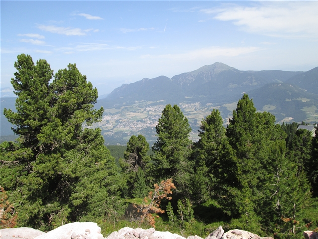 Vallata tra gli alberi dall'arrivo della seggiovia salendo verso il Paion.